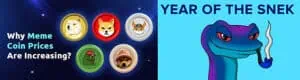 SNEK MEME COIN ASIA